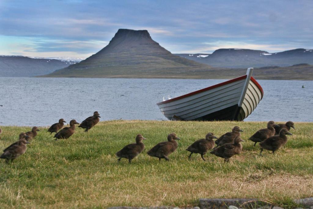 Hotel Isafjordur - Horn Dış mekan fotoğraf